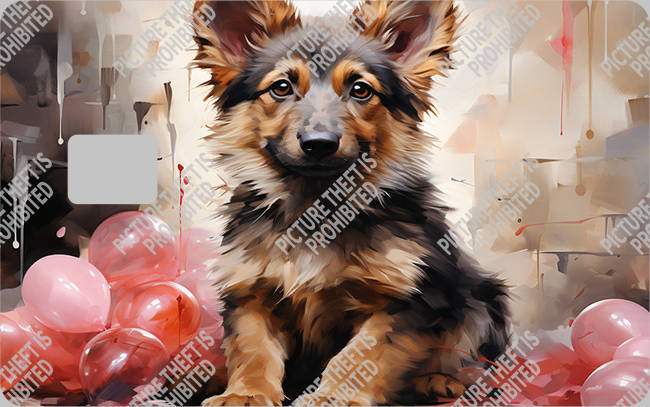 Bank  Card Sticker-BC-2206